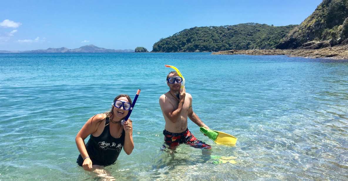 From Paihia: Scenic Cruise With Roberton Island Stopover - Customer Recommendations