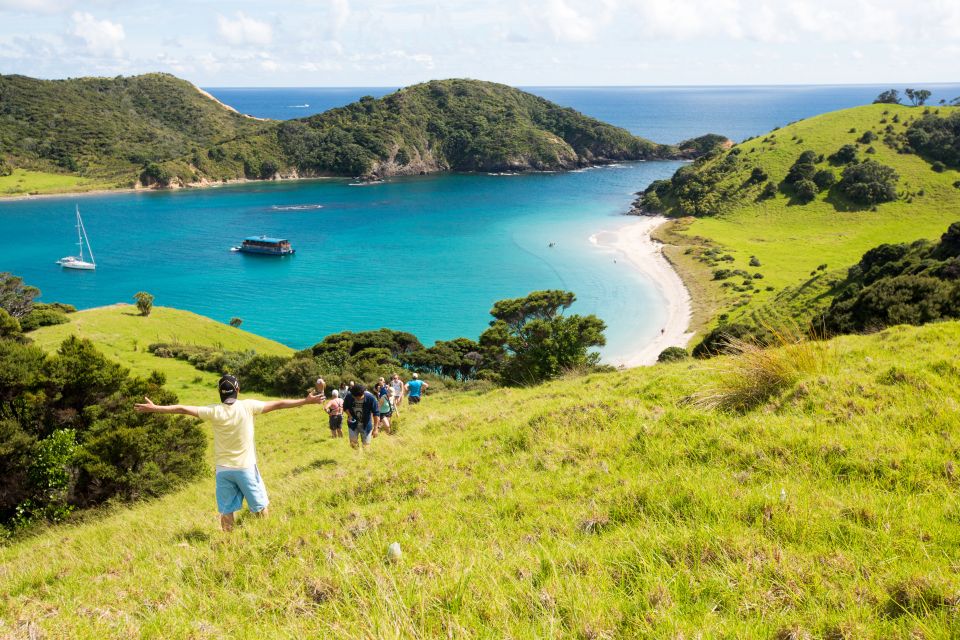 From Paihia: The Rock Adventure Overnight Cruise - Customer Reviews and Ratings