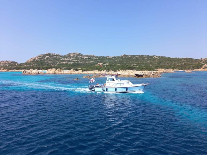 From Palau: Boat Trip to La Maddalena Archipelago - Key Points