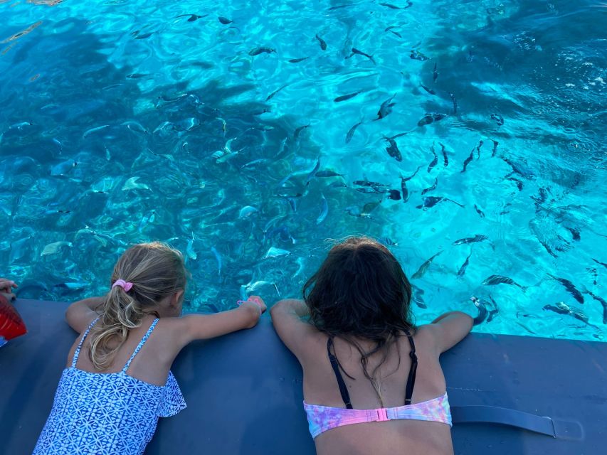 From Palau: Corsican Archipelago Half-Day RIB Boat Trip - Recap