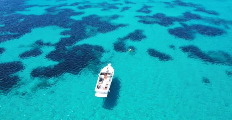From Palau/La Maddalena: All inclusive Yacht Tour - To sum it up, this tour offers a blend of scenic beauty, delicious local fare, and personalized service that makes it stand out. Whether youre celebrating a special occasion or simply want to enjoy Sardinia’s stunning islands in style, this trip is a worthwhile choice for a day of sea, sun, and unforgettable views.