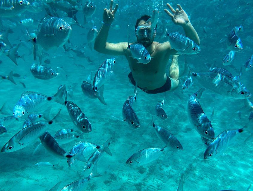 From Palau: La Maddalena Archipelago Catamaran Tour - Booking and Cancellation