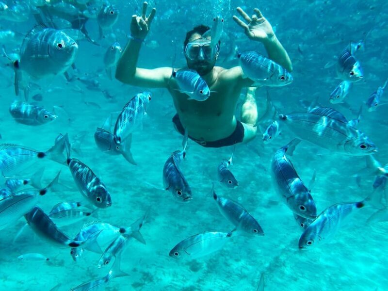 From Palau: La Maddalena Archipelago Catamaran Tour w/ Lunch - An In-Depth Look at the Tour Experience