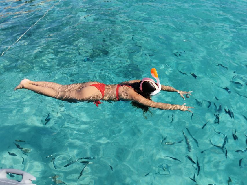 From Palau: La Maddalena Archipelago Full-Day Boat Tour - Key Points