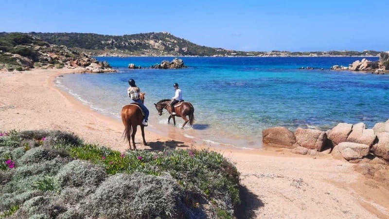 From Palau: minibus tour and horseback ride in La Maddalena - Key Points