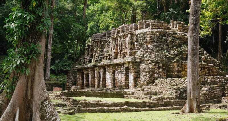 From Palenque: Bonampak & Yaxchilán - Who Will Love This Tour?