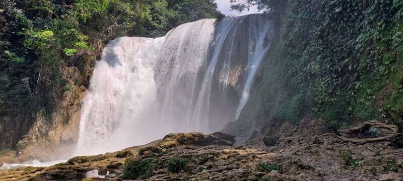 From Palenque: El Salto Waterfall Private Tour - Key Points