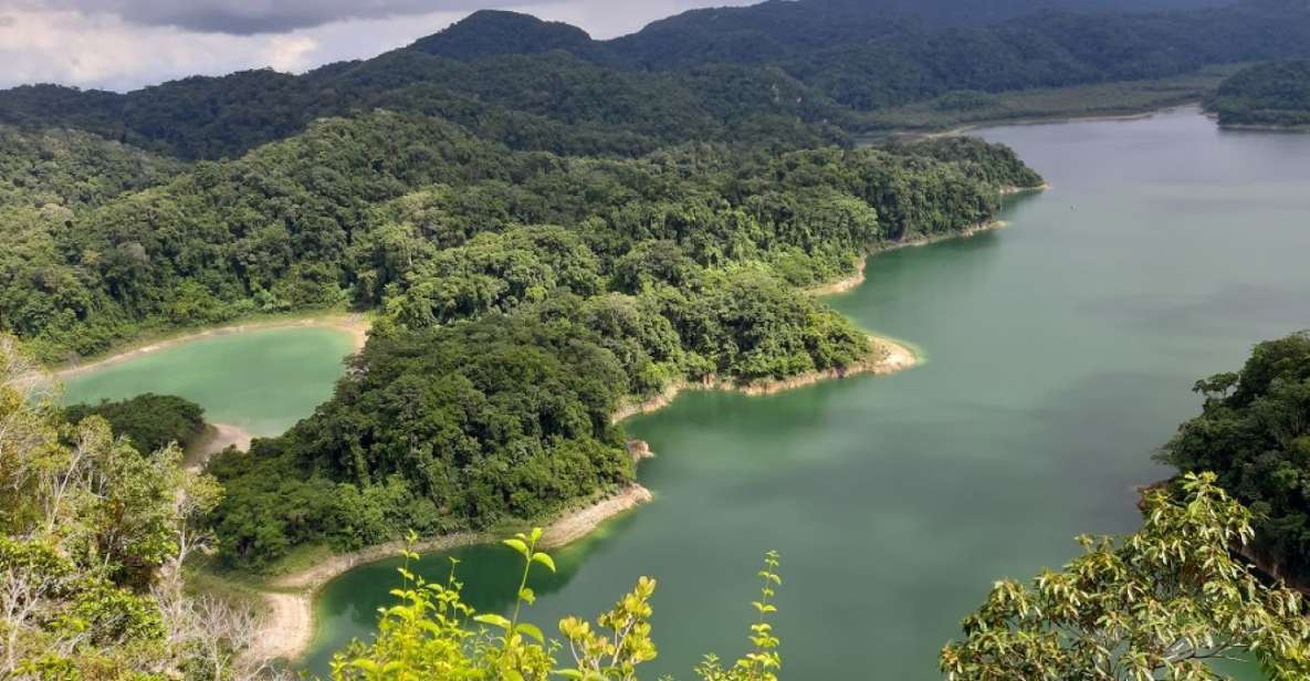 From Palenque: Metzabok Lacandona Jungle Private Tour - Departure and Breakfast
