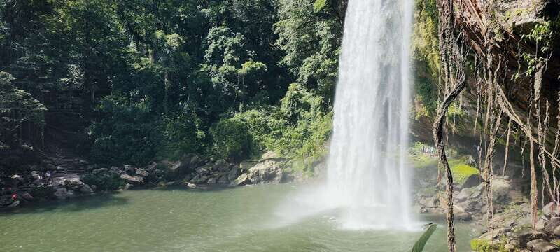 From Palenque: Misol-Ha & Agua Azul Waterfalls Day Tour - What Travelers Say