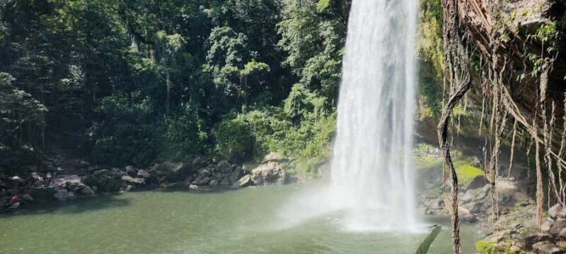 From Palenque: Misol-Ha and Agua Azul Waterfalls - A Full Breakdown of the Tour Experience