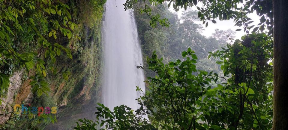 From Palenque: Misol-Ha and Agua Azul Waterfalls Tour - Mobility Considerations