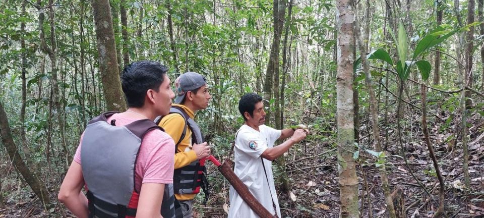 From Palenque: Naha Center and Lacandona Jungle Tour - Tour Overview