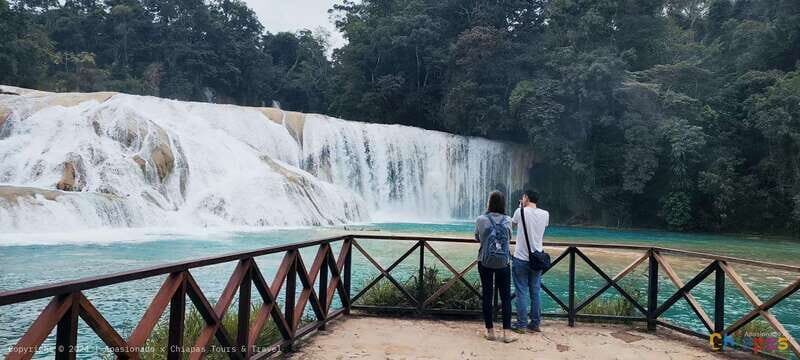 From Palenque: Palenque, Agua Azul Waterfalls and Misol-Ha - Key Points