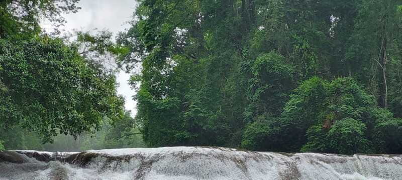 From Palenque: Palenque and Roberto Barrios Waterfalls Tour - FAQ