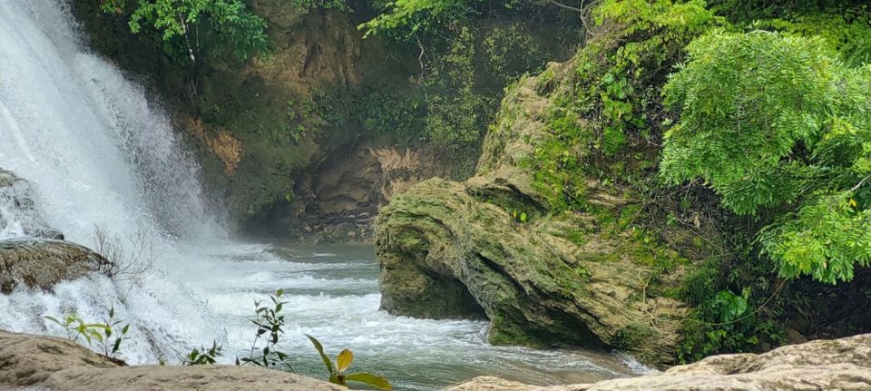 From Palenque: Roberto Barrios and El Salto Waterfalls Tour - Exploring the Mayan Jungle
