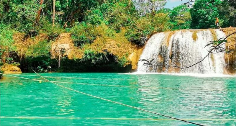 From Palenque: Roberto Barrios Waterfalls Excursion - An In-Depth Look at the Roberto Barrios Waterfalls Tour