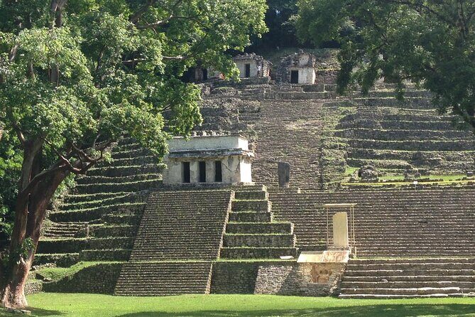 From Palenque to Bonampak - Yaxchilan Selva 1 day - Who Would Enjoy This Tour Most?