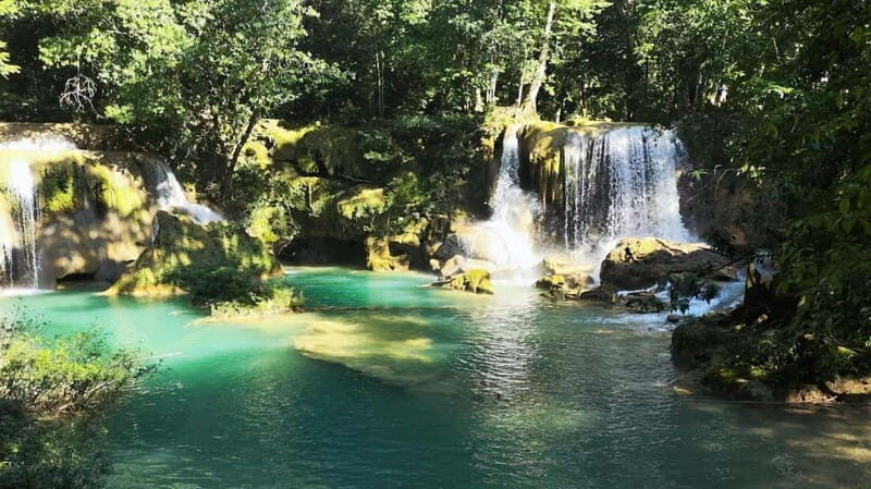 From Palenque: Tour of the Roberto Barrios Waterfalls - What to Expect on the Roberto Barrios Waterfalls Tour