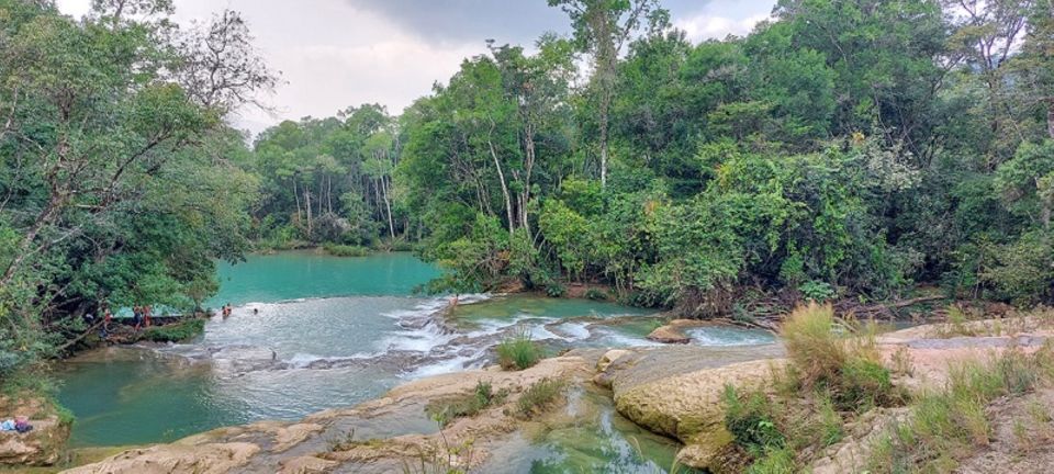 From Palenque:Wonders of the Roberto Barrios Waterfalls Tour - Key Points