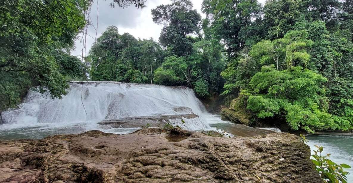 From Palenque:Wonders of the Roberto Barrios Waterfalls Tour - Crystal Clear Waters