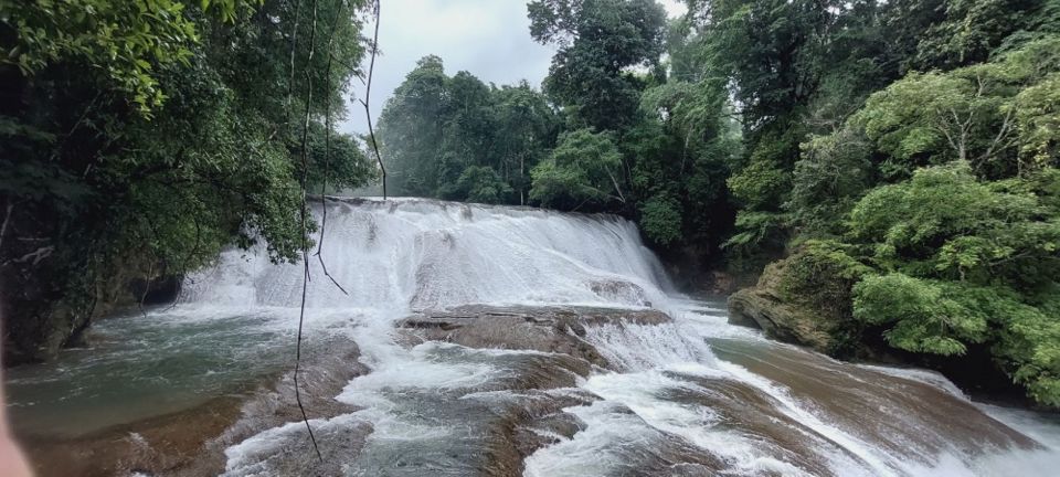 From Palenque:Wonders of the Roberto Barrios Waterfalls Tour - Booking and Cancellation