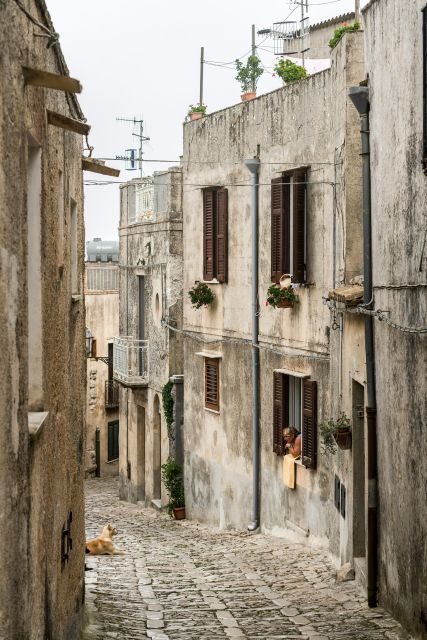 From Palermo: Day Trip to Erice, Segesta and Salt Pans - Inclusions and Exclusions