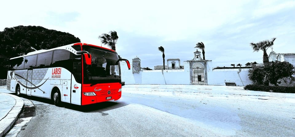 From Palermo: San Vito Lo Capo Beach Roundtrip Bus Transfer - Key Points