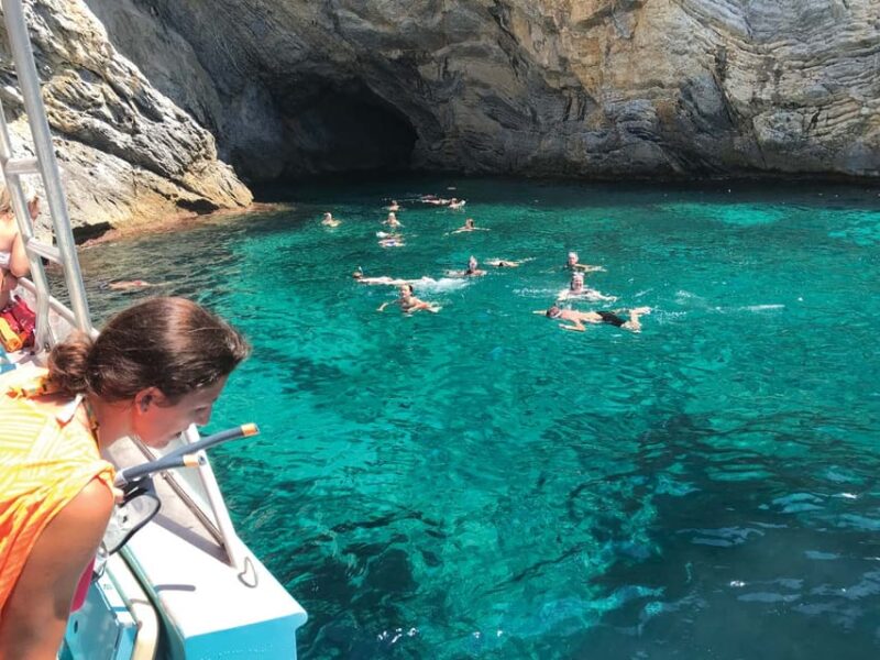 From Palma: Afternoon Dolphin-Watching Boat Tour - Experience Highlights