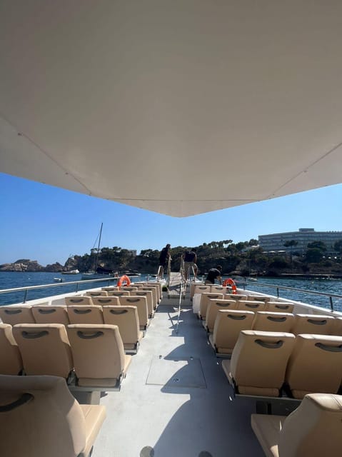 From Palma: Afternoon Dolphin-Watching Boat Tour - Important Information