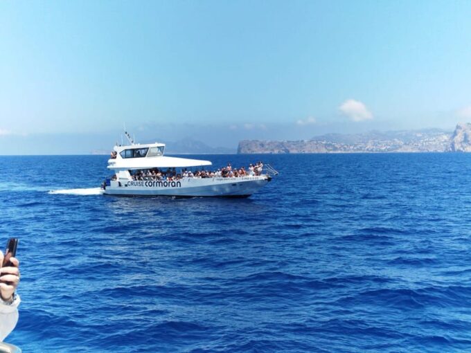 From Palma: Afternoon Dolphin-Watching Boat Tour - Frequently Asked Questions