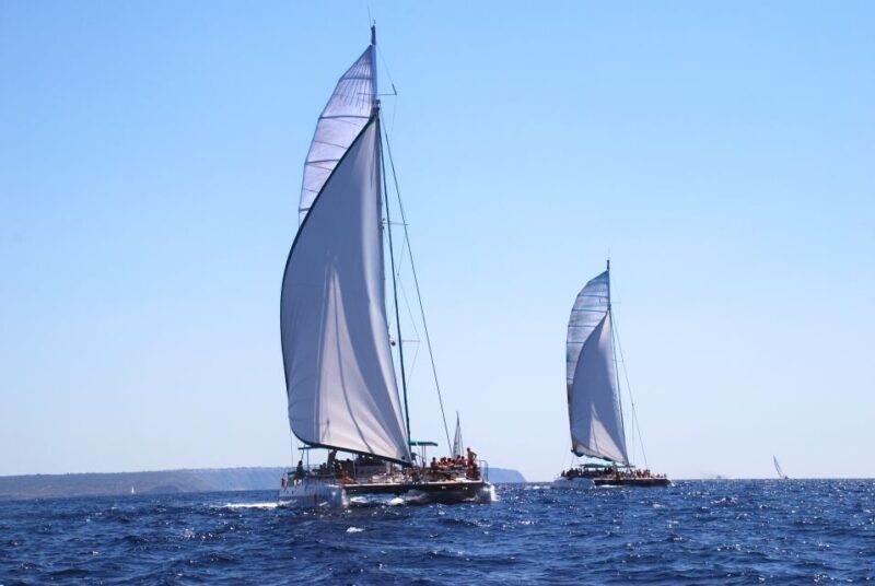 From Palma de Mallorca: Boat Cruise to Illetes - An Overview of the Experience