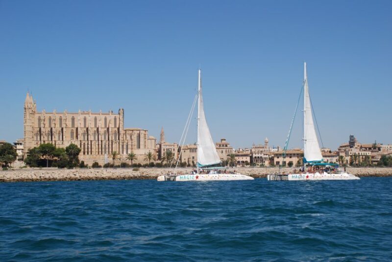 From Palma de Mallorca: Boat Cruise to Illetes - Authentic Experiences and Real Guest Feedback
