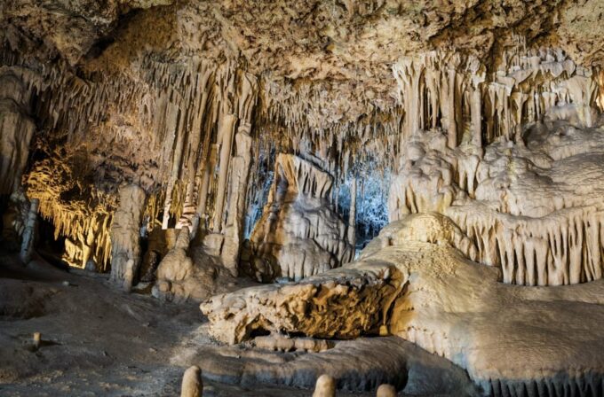From Palma De Mallorca: Dinosaurland Tour - Exploring Ancient Creatures