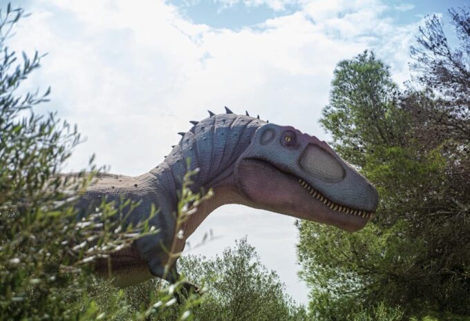 From Palma De Mallorca: Dinosaurland Tour - Transportation and Accessibility