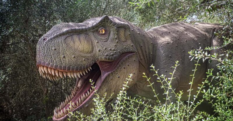 From Palma De Mallorca: Dinosaurland Tour - Key Points