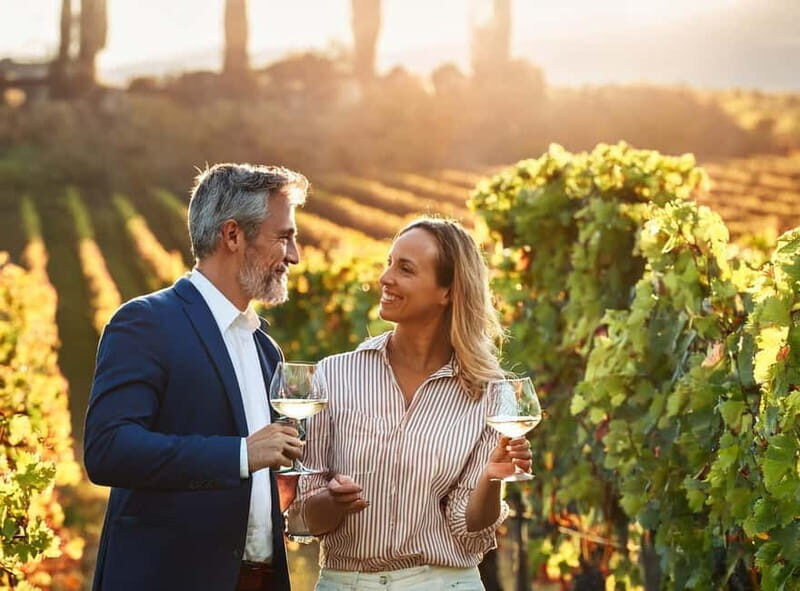 From Palma de Mallorca: Private Wine and Local Flavors Tour - An In-Depth Look at the Mallorca Private Wine Tour