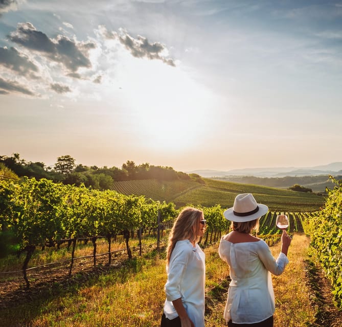 From Palma De Mallorca: Private Wine and Local Flavors Tour - Itinerary
