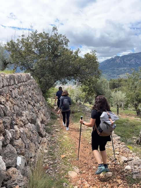 From Palma: Sierra de Tramuntana Hiking with small Picnic - Exploring the Sierra de Tramuntana: A Guided Hike from Palma