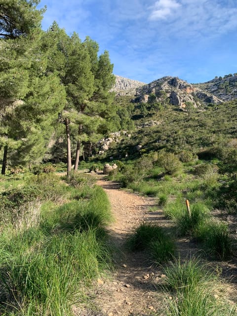 From Palma: Sierra De Tramuntana Hiking With Small Picnic - Meeting Point and Recommendations
