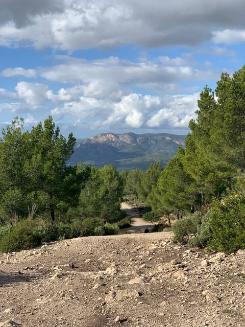 From Palma: Sierra De Tramuntana Hiking With Small Picnic - Frequently Asked Questions