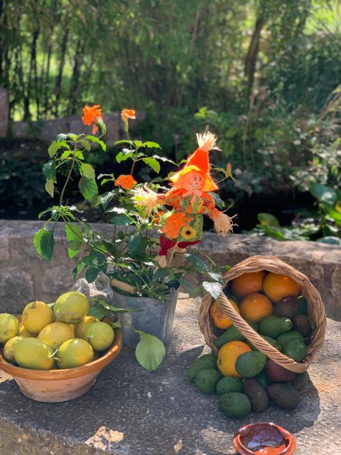 From Palma: Soller Valley Walk and Picnic in Orange Farm - Hiking Experience