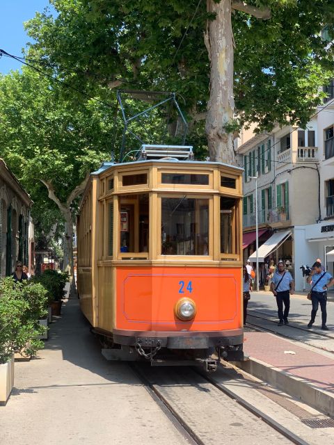 From Palma: Soller Valley Walk and Picnic in Orange Farm - Meeting Point and Transportation