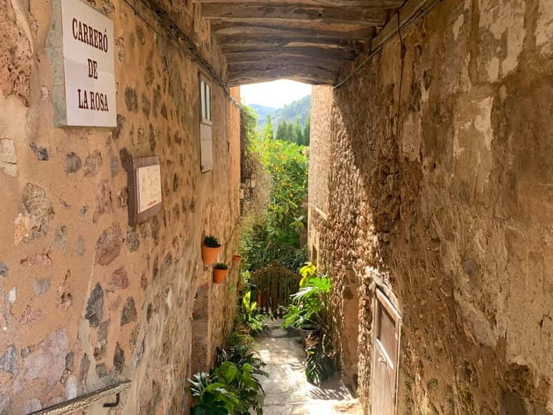 From Palma: Valldemossa Tour and Mountain Viewpoint Hike - Who Should Consider This Tour?