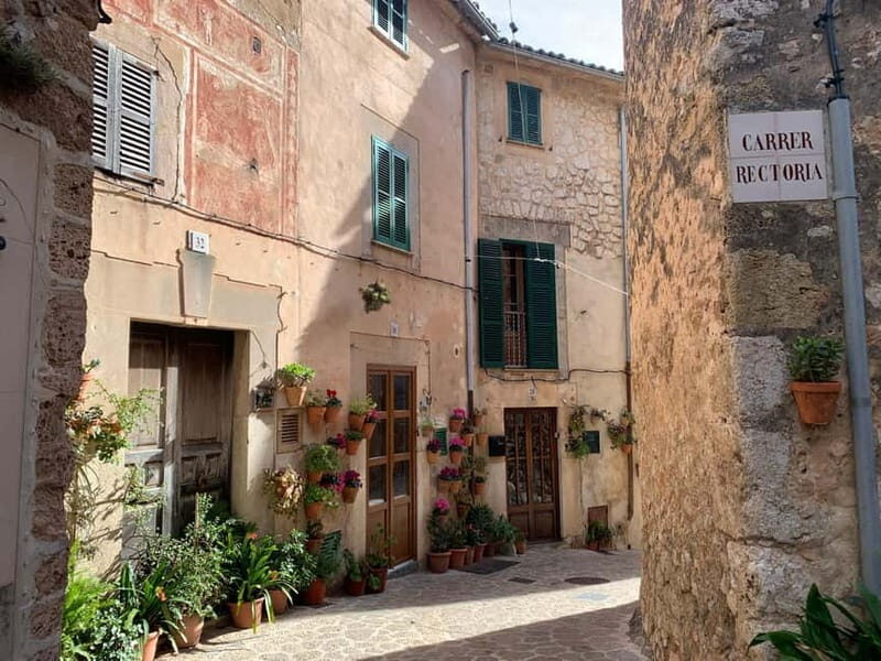 From Palma: Valldemossa Tour and Mountain Viewpoint Hike - FAQ