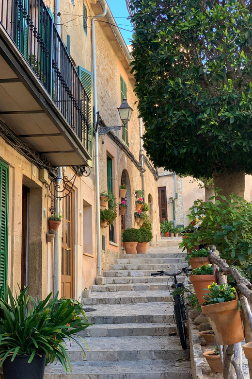 From Palma: Valldemossa Tour and Mountain Viewpoint Hike - Exploring Valldemossa