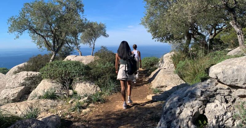 From Palma: Valldemossa Tour and Mountain Viewpoint Hike - Hiking Through the Sierra De Tramuntana