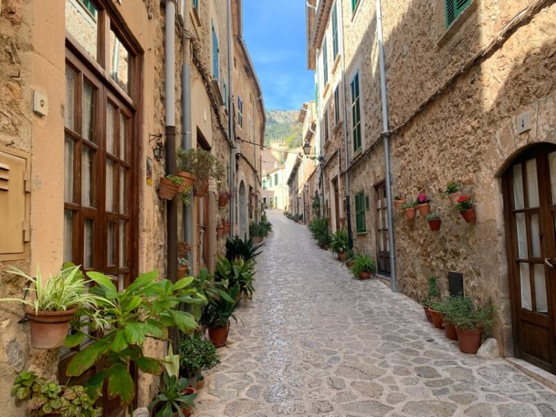 From Palma: Valldemossa Tour and Mountain Viewpoint Hike - Scenic Viewpoints and Photo Opportunities