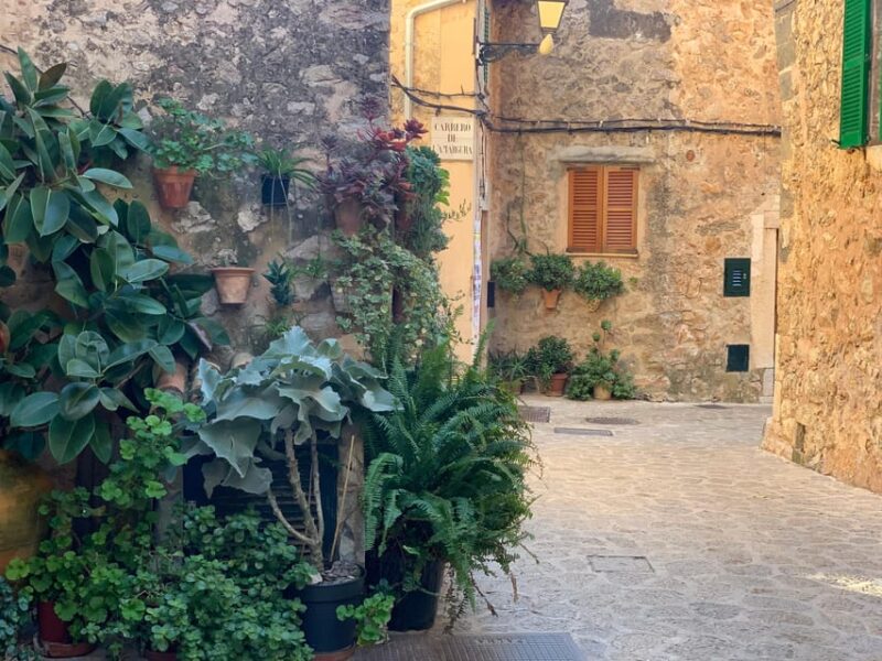 From Palma: Valldemossa Tour and Mountain Viewpoint Hike - Picnic Break and Potential Swimming
