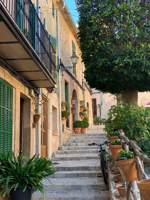 From Palma: Valldemossa Tour and Mountain Viewpoint Hike - Traveler Feedback and Highlights