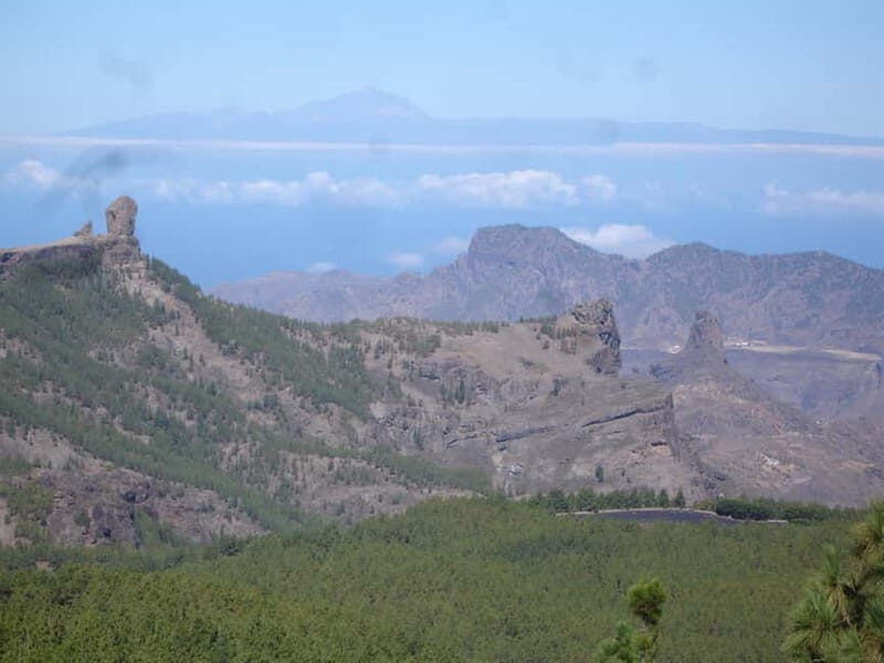 From Palmas: Pico de las Nieves & Roque Nublo Full-Day Trip - Exploring the Details: What to Expect on This Full-Day Trip